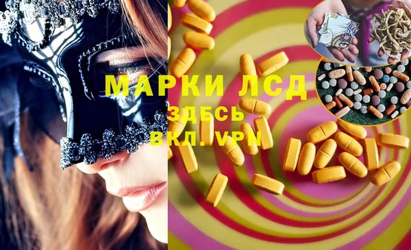 хмурый Абаза