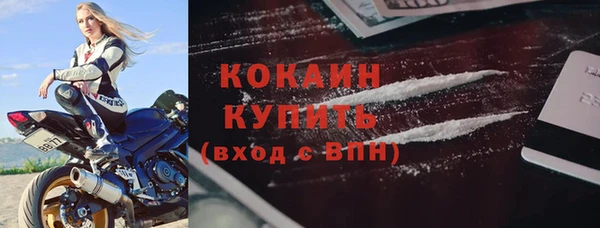 хмурый Абаза