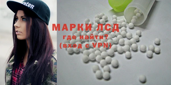 хмурый Абаза