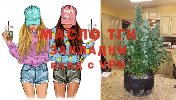 хмурый Абаза