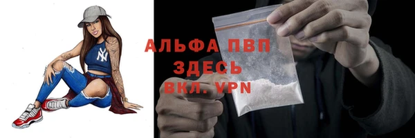 хмурый Абаза