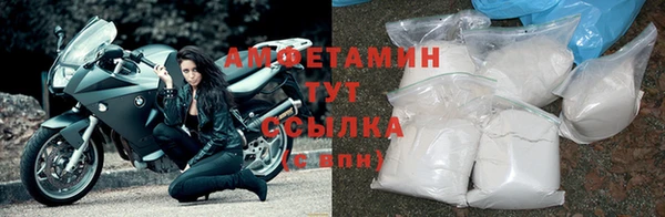 хмурый Абаза