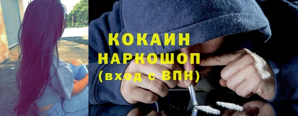 хмурый Абаза