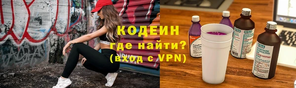 хмурый Абаза
