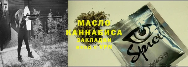 хмурый Абаза
