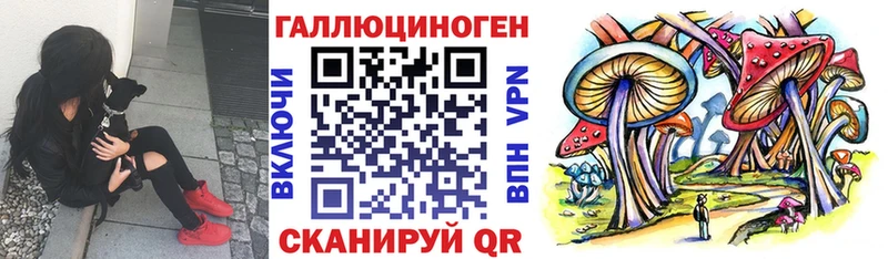 Псилоцибиновые грибы мухоморы Питкяранта