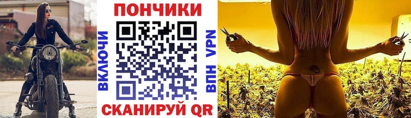 Конопля сатива  наркошоп  Питкяранта 